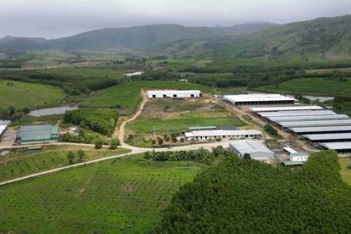 TP.HCM: Đất cho thuê, giao đất nếu không gia hạn sẽ bị thu hồi