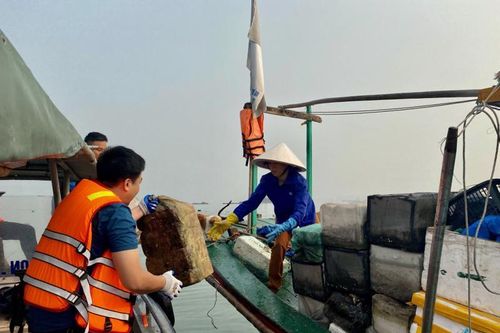 Phát triển kinh tế tuần hoàn bắt đầu từ thu gom tái chế chất thải rắn