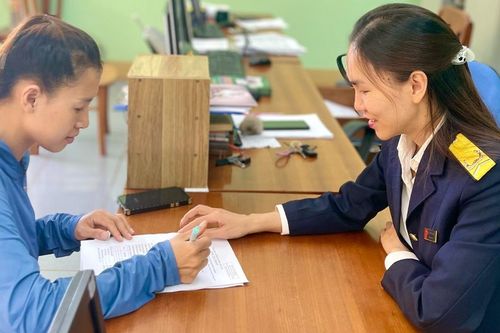 Gia Lai khẩn trương rà soát, chuẩn hóa dữ liệu mã số thuế cá nhân