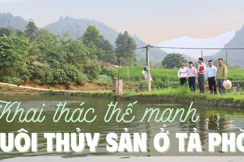 Khai thác thế mạnh nuôi thủy sản ở Tả Phời