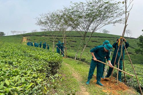 Xây dựng nông thôn mới nâng cao ở Trung Giáp