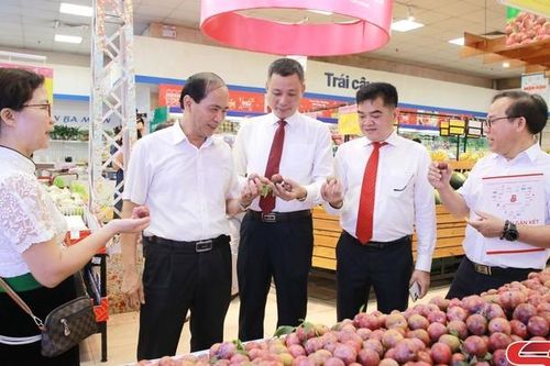 Có một Sơn La trong lòng Hà Nội