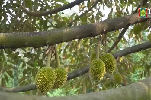 Sản xuất xanh phải gắn với tự nhiên