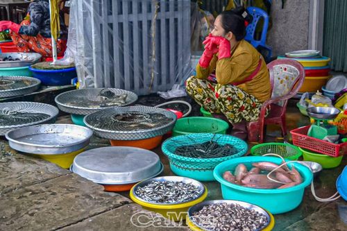 Xử lý nghiêm hành vi tận diệt cá non