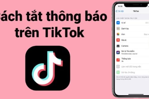 Cách tắt thông báo bài đăng trên TikTok