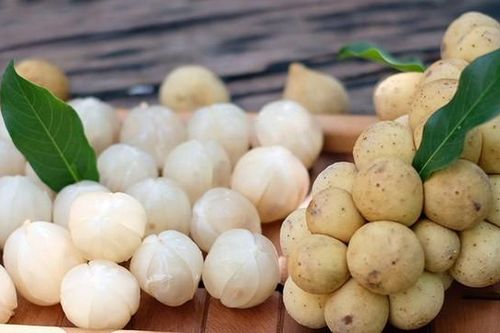 Làm gỏi từ quả bòn bon đặc sản Quảng Nam tuy không cầu kỳ nhưng ai ăn một lần cũng nhớ mãi, lại tốt cho đường ruột