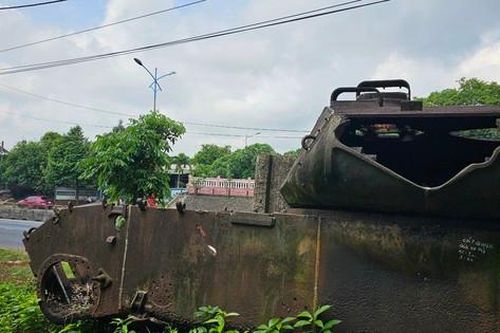 Cây cỏ bủa vây hiện vật ở di tích Quốc gia