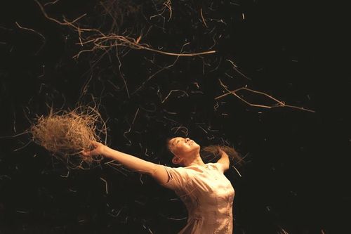 Tôn vinh vẻ đẹp của cánh đồng lúa chín Hội An