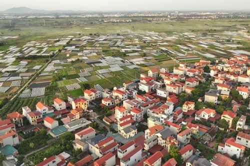 Khi làng lên phố