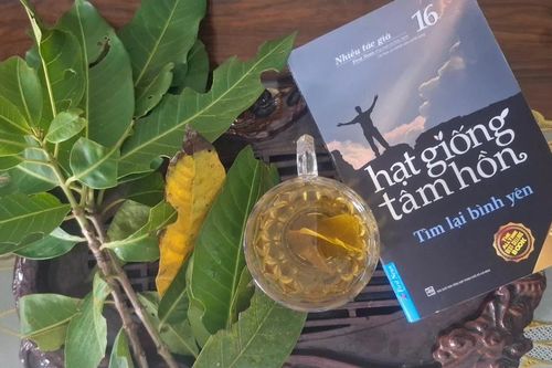 Nước vối thân thương