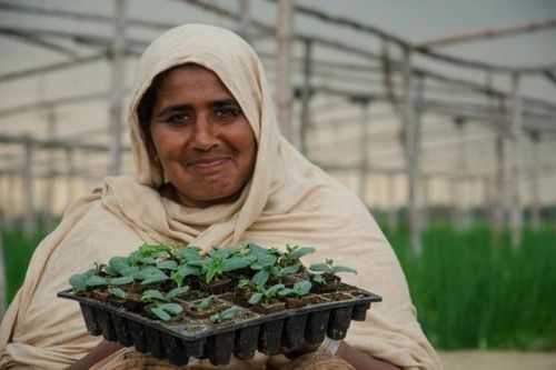 Để cách mạng hóa nền kinh tế, Pakistan 'bắt tay' với một 'ông lớn' ở châu Á