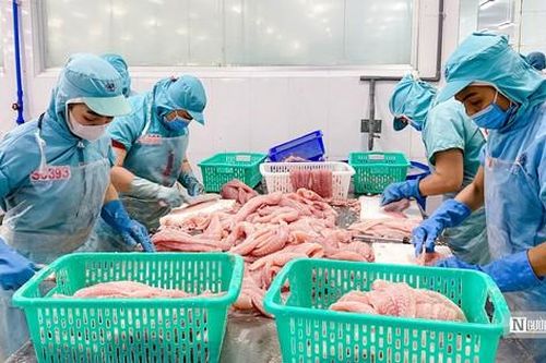 Màu ảm đạm bao trùm lên bức tranh tài chính ngành thủy sản