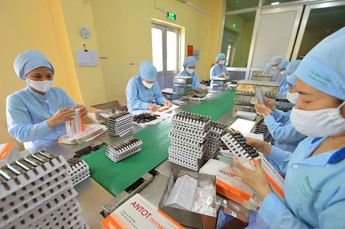 Thúc đẩy các giải pháp dựa vào tự nhiên trong phát triển bền vững doanh nghiệp