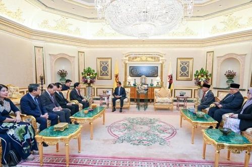 Mở rộng cơ hội hợp tác giữa Việt Nam và Brunei