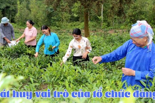 Phát huy vai trò của tổ chức đảng trong vùng đồng bào dân tộc thiểu số