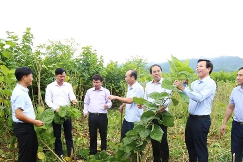 Bí thư Tỉnh ủy Đặng Xuân Phong kiểm tra một số dự án giao thông, xây dựng, nông nghiệp trên địa bàn huyện Bảo Thắng và Bảo Yên