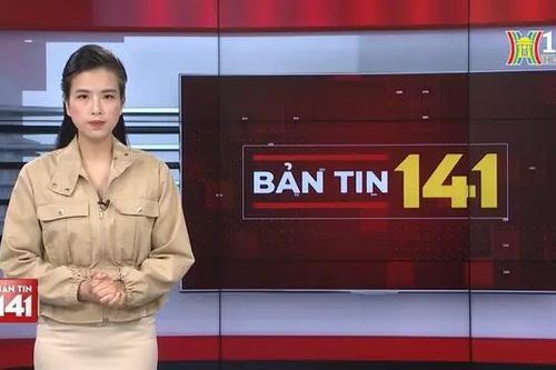 Bản tin 141 | 11/08/2024