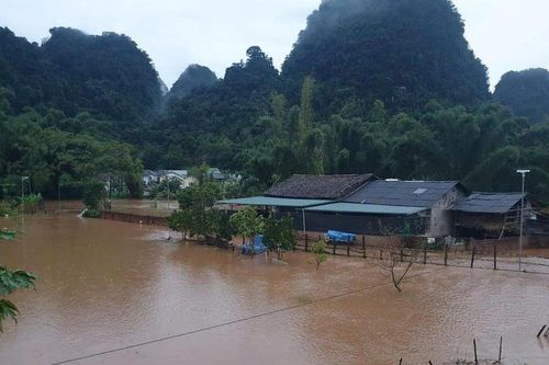 Nhiều nhà dân, hoa màu huyện Trùng Khánh bị ngập lụt sau mưa lớn