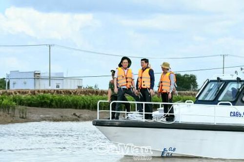 Phó thủ tướng Chính phủ Trần Lưu Quang kiểm tra tình hình sạt lở tại tỉnh Cà Mau và Bạc Liêu