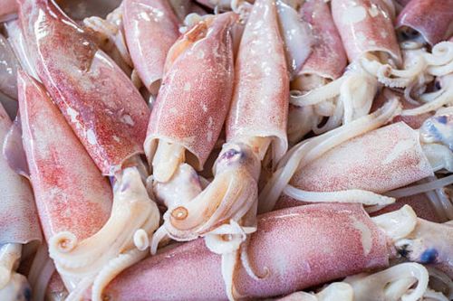 Mẹo chọn mực tươi của dân biển chính gốc