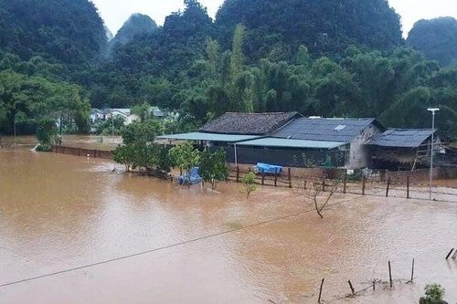 Mưa to xối xả gây ngập úng cục bộ, sạt lở đất tại tỉnh Cao Bằng