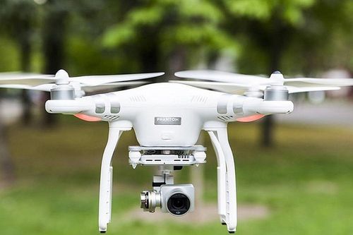 TP.HCM dùng flycam kiểm tra cây xanh sau vụ 5 người thương vong ở công viên