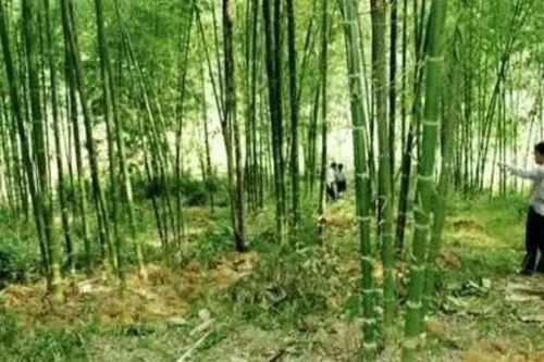 Xô xát khi đi đòi tiền hộ vợ hờ, người đàn ông bị phi dao trúng ngực