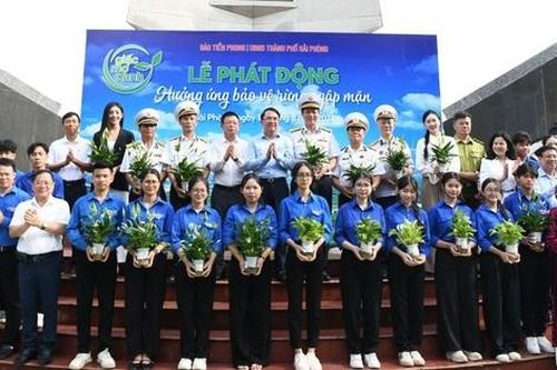 Lan tỏa Giấc Mơ Xanh cùng những hoạt động ý nghĩa để bảo vệ rừng ngập mặn