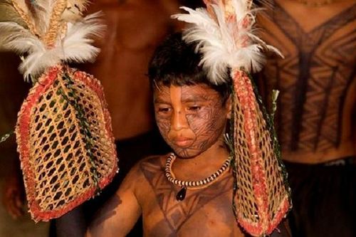 Nghi lễ tàn khốc của bộ tộc Satere Mawe để được công nhận là đàn ông trưởng thành