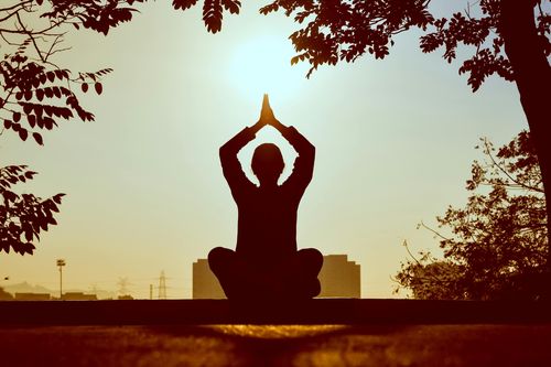 Nhiệm mầu của thở và đi trong chánh niệm