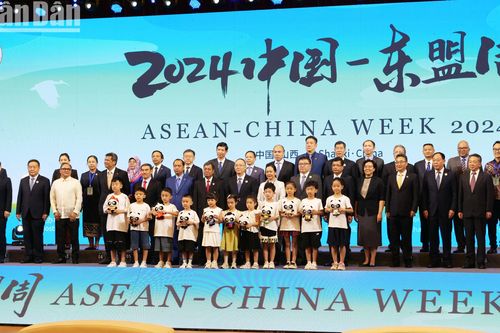 Nhiều sự kiện đặc sắc tại Tuần lễ ASEAN-Trung Quốc 2024