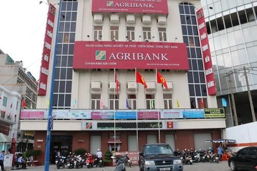 Đấu giá khoản nợ của Công ty Việt Á tại Agribank Sài Gòn
