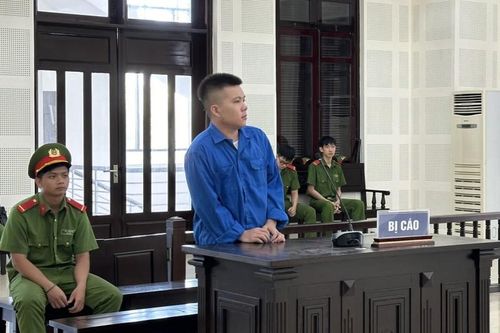 Cướp giật túi xách của người nước ngoài, thanh niên 22 tuổi lĩnh án tù