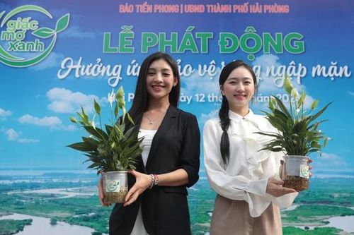 Báo Tiền Phong phát động chiến dịch bảo vệ rừng ngập mặn