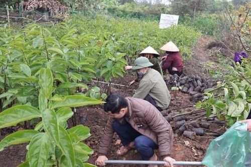 Lưu giữ hơn 80.000 nguồn gen