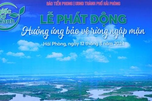 Thông điệp 'Giấc mơ xanh' bên lề Giải Vô địch Golf Quốc gia 2024, Cúp VinFast – Hải Phòng