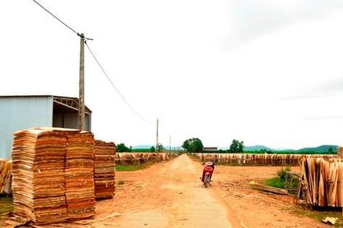 Dự án tái định cư vùng ngập lụt thành nơi tập kết ván gỗ ép