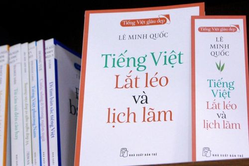 'Dù là người Việt nhưng chắc gì chúng ta có thể hiểu hết tiếng Việt?'