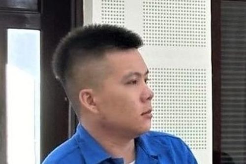 Xét xử đối tượng cướp túi xách của nữ du khách Ấn Độ ở Đà Nẵng