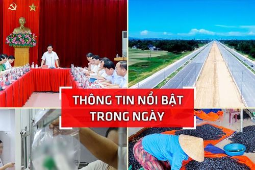 Nghệ An: Thông tin nổi bật trong ngày 12/8