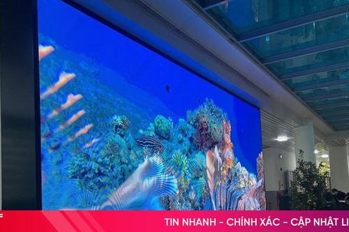 Mách bạn nơi mua màn hình LED chất lượng, giá rẻ