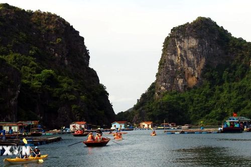 Làng chài Vung Viêng thu hút đông du khách quốc tế