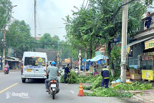 Kiểm soát nguy cơ tai nạn trên đường vào mùa mưa ở đô thị Biên Hòa