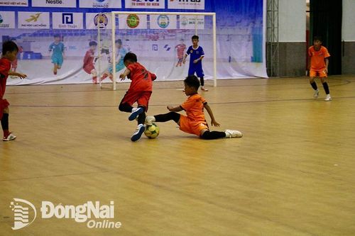 U.11 Cẩm Mỹ - U.11 Tân Phú: Cẩm Mỹ chờ tin vui từ Nhơn Trạch và Thống Nhất