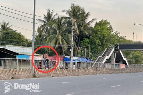 Công an Biên Hòa 'phạt nguội' nhiều người đi bộ leo dải phân cách sang đường