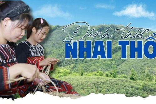 Đánh thức Nhai Thổ