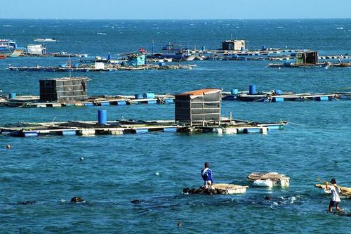 Bình Thuận: Tận dụng lợi thế biển, thúc đẩy phát triển kinh tế bền vững