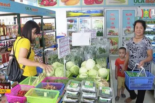 Sản phẩm sạch, hữu cơ hút khách