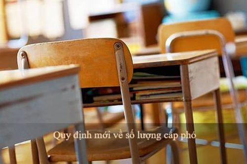 Trường có nhiều cấp học từ 40 lớp trở lên được bố trí không quá 03 cấp phó