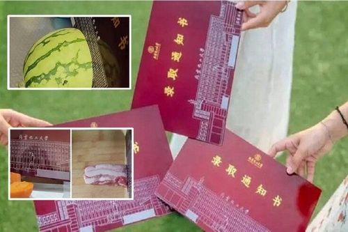 Giấy báo đỗ đại học bổ được dưa, băm được thịt khiến giới trẻ 'phát cuồng'